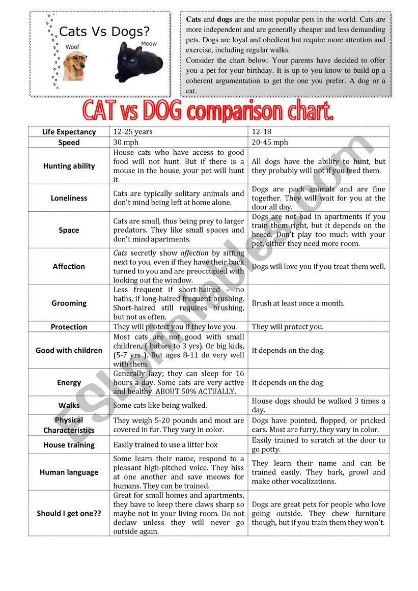Cats vs Dogs comparison chart. (Speaking) part 1