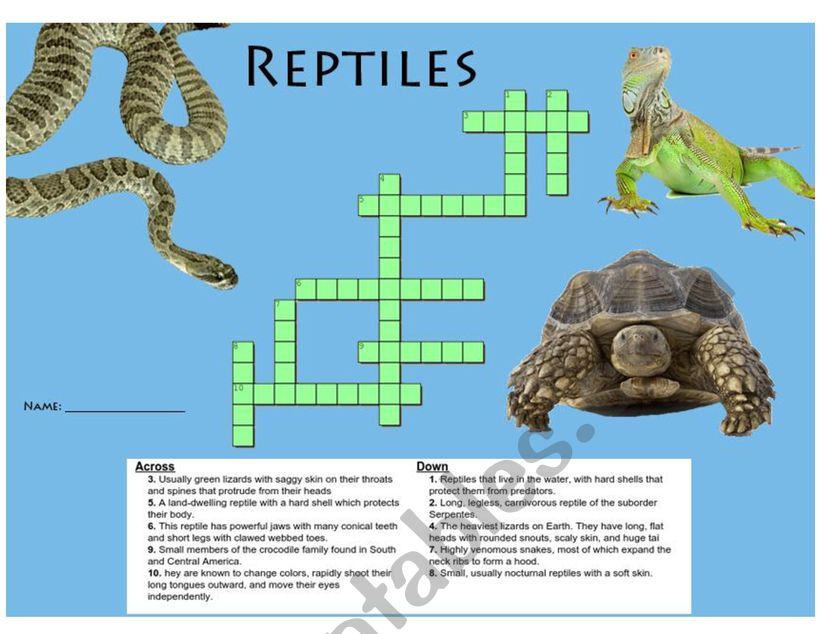Reptiles Crossword Puzzle + Answer Key
