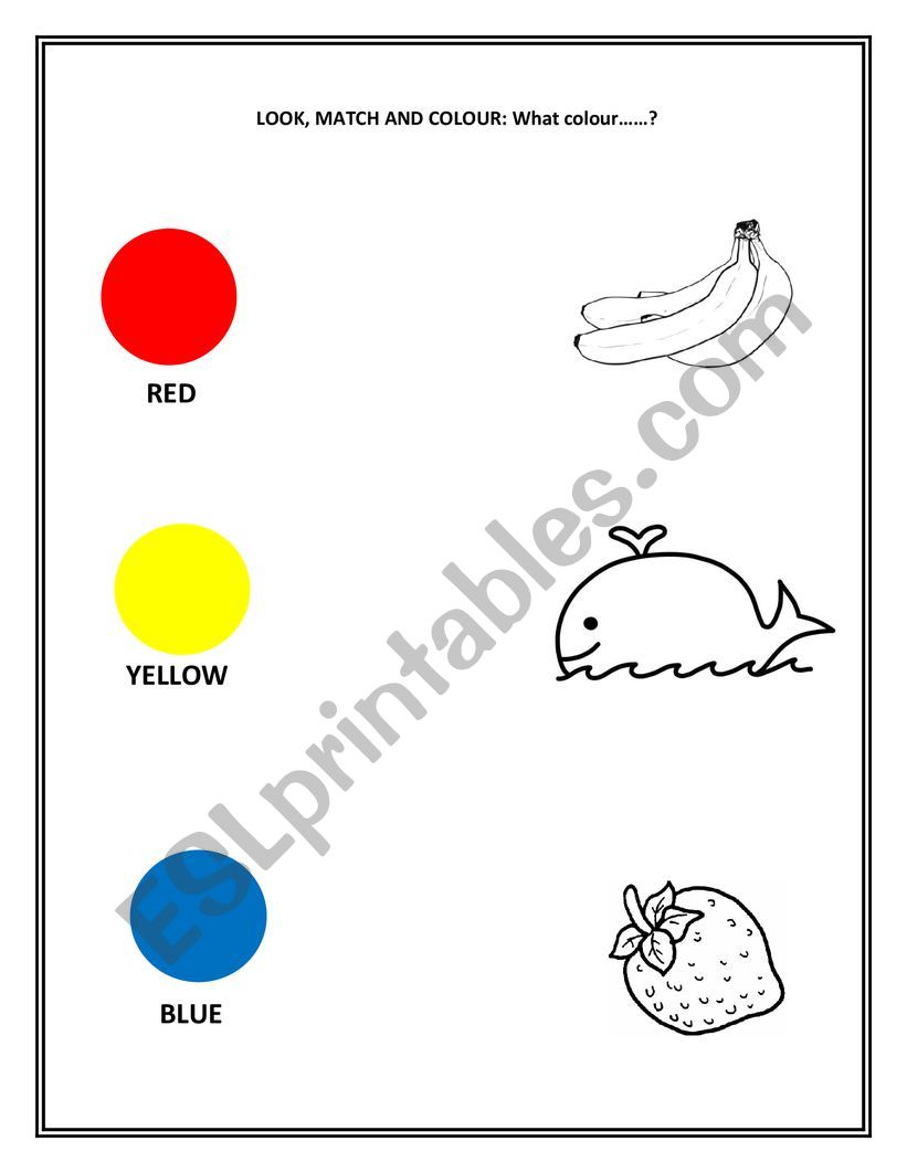 colours worksheet