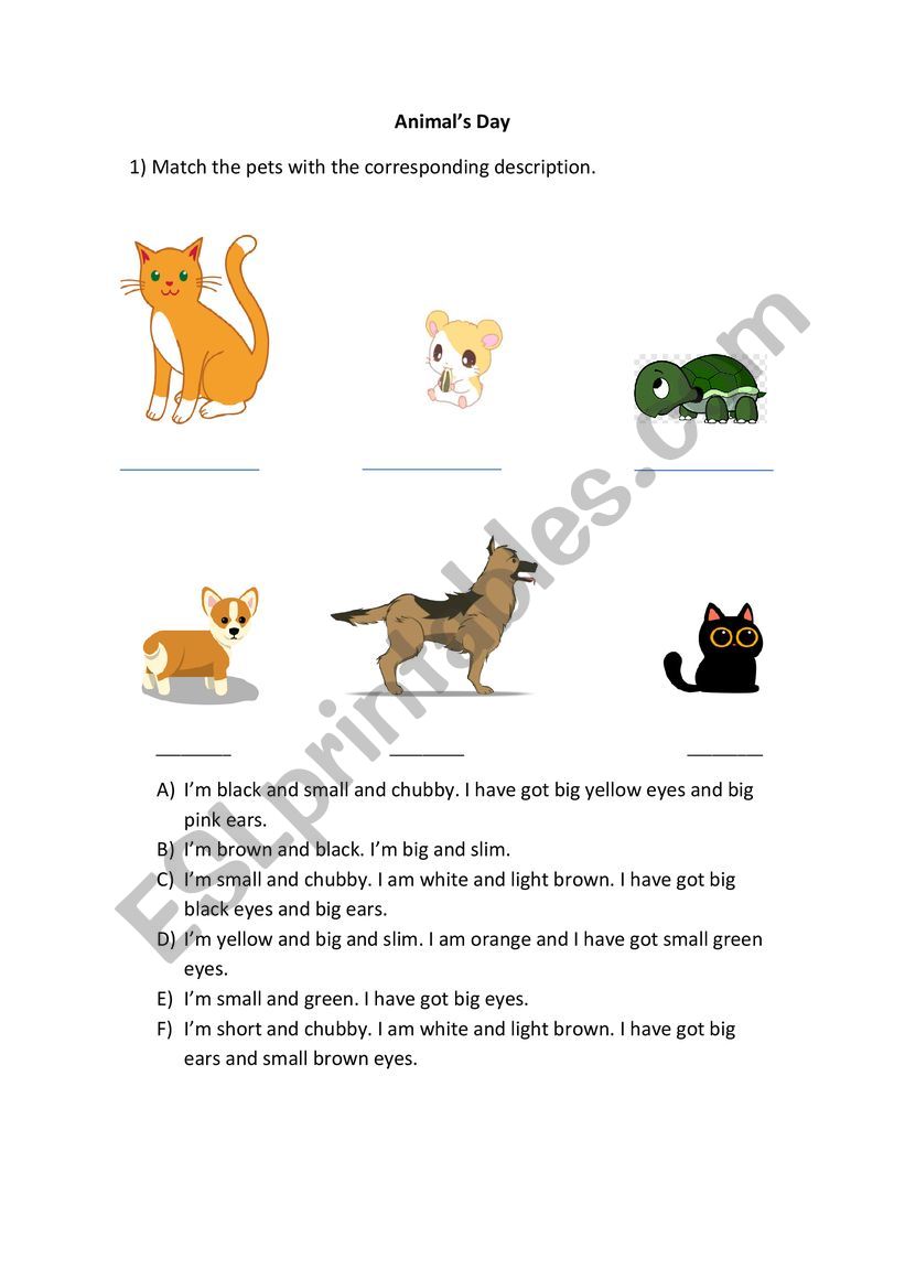 AnimalÃ¯Â¿Â½s Day worksheet