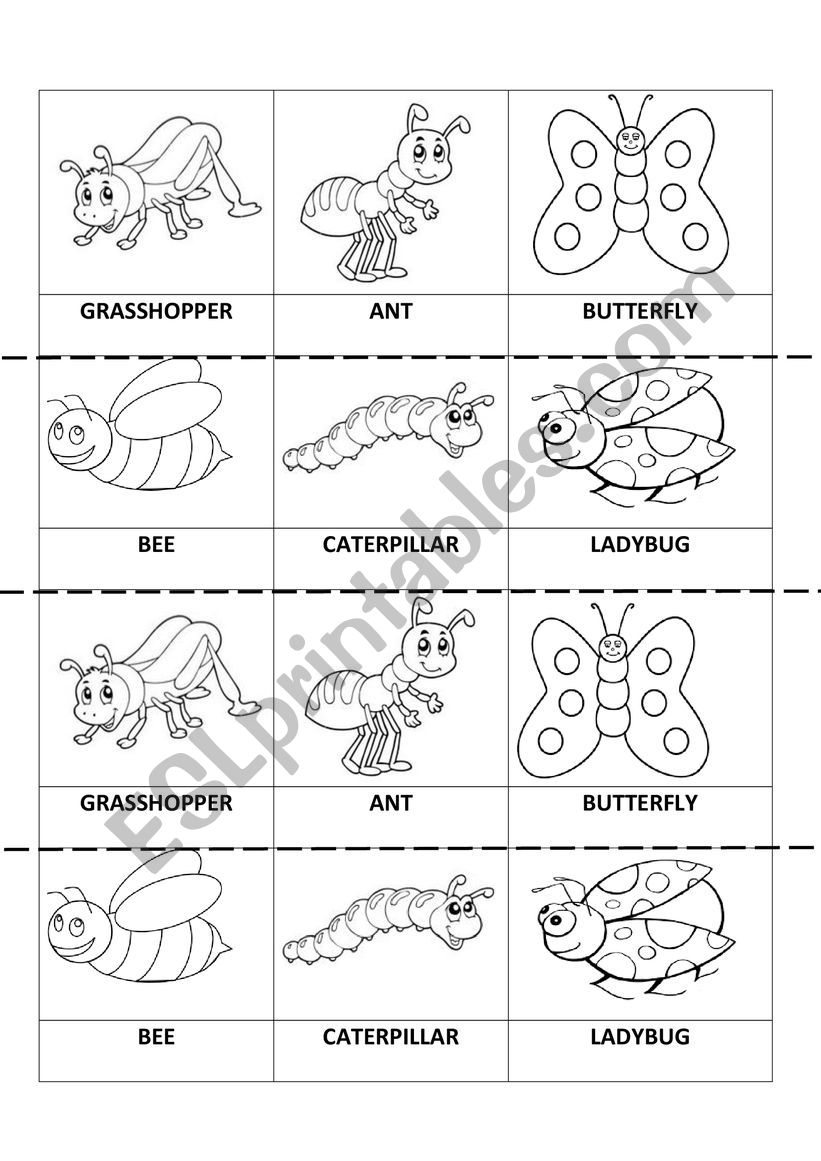 BUGS MEMORY GAME worksheet