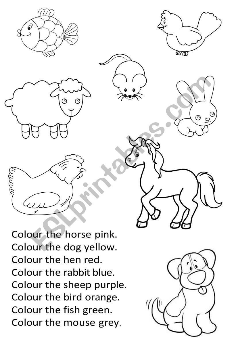 Animals colourful pages worksheet