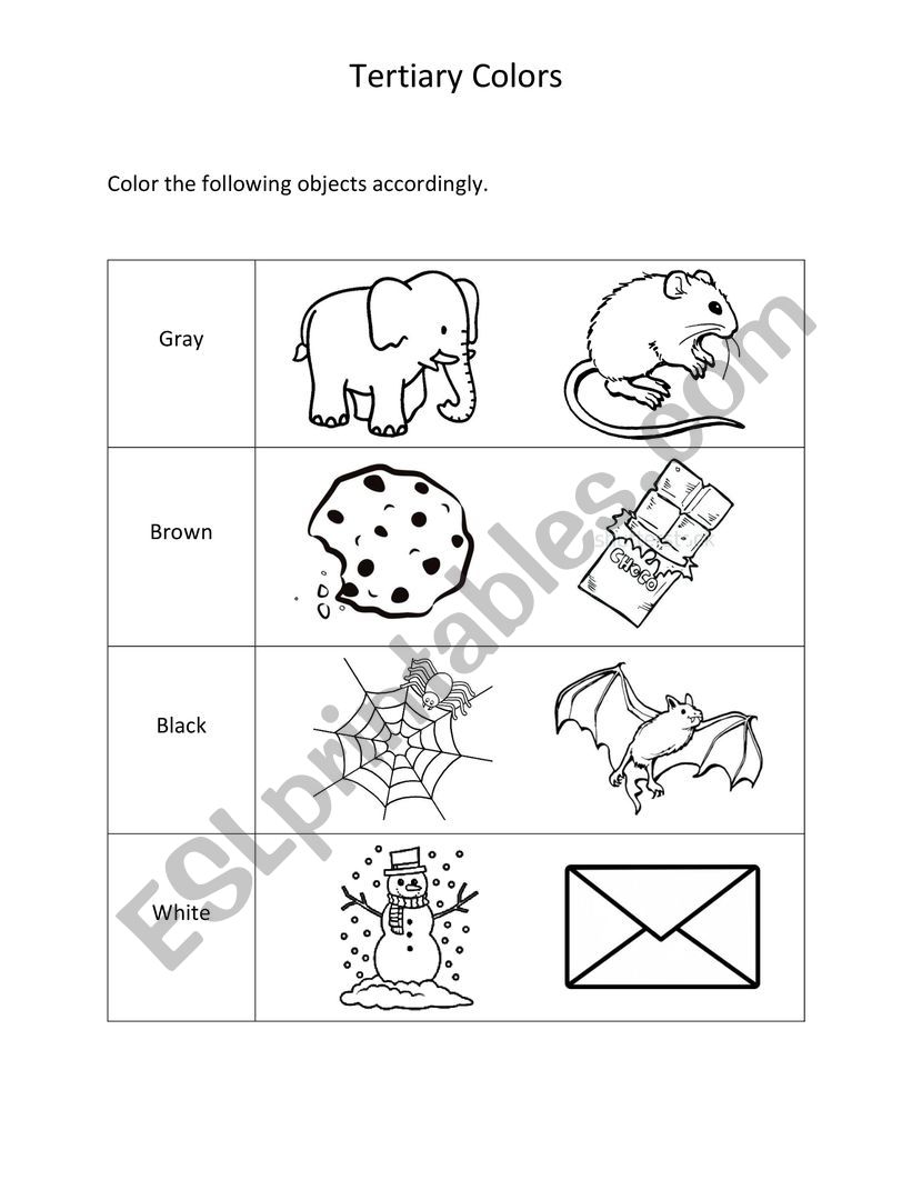 tertiary worksheet worksheet