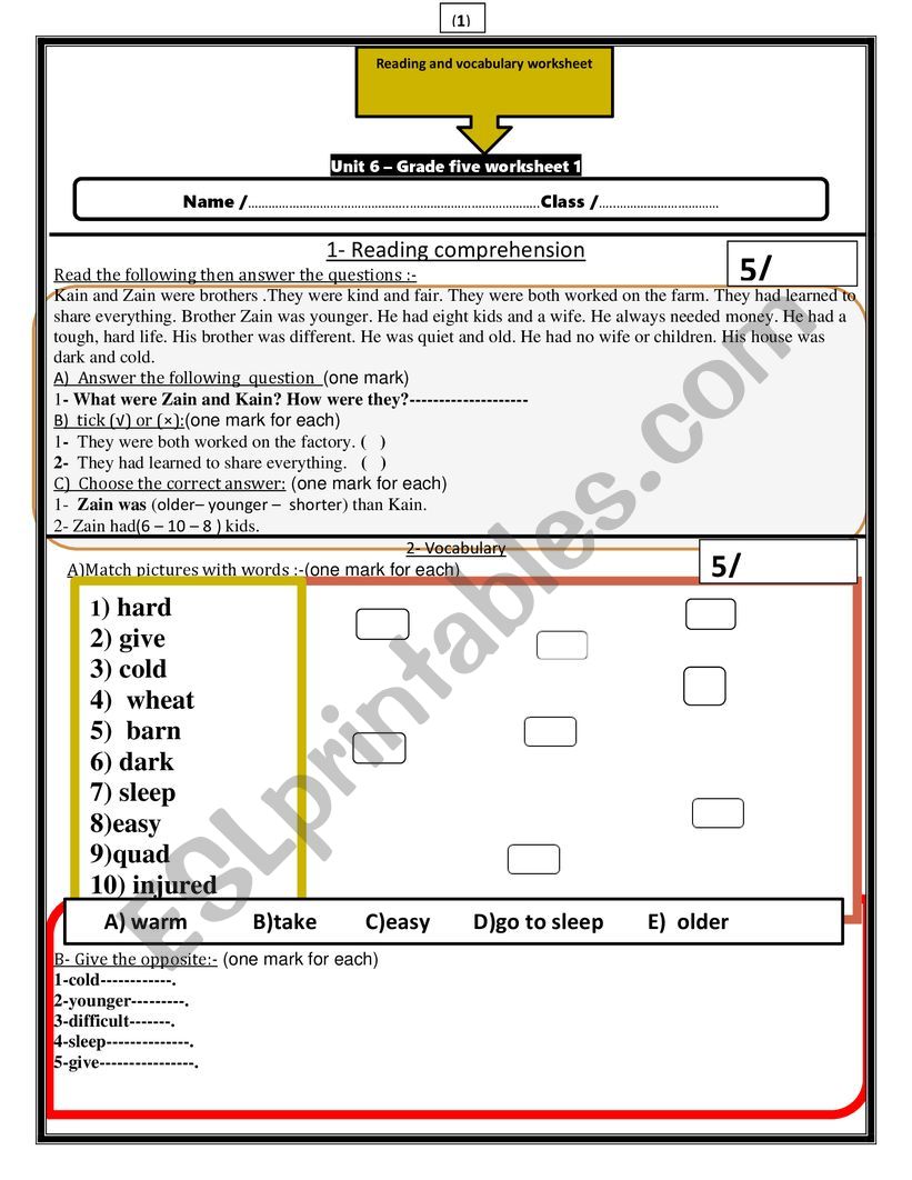 reading and vocabulary worksheet