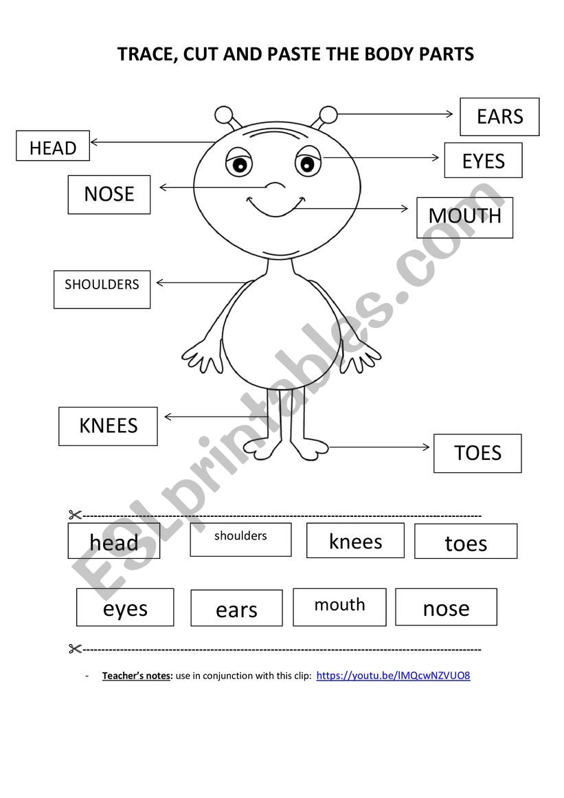 body parts worksheet