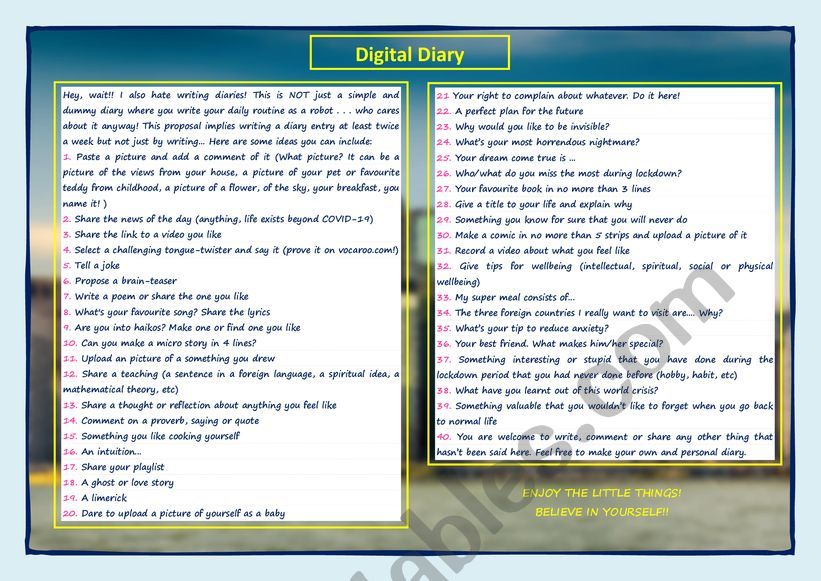 DIGITAL DIARY worksheet