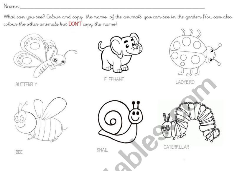 Garden animals  worksheet