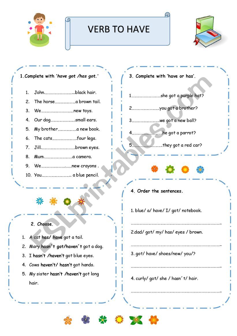 Verb to have worksheet