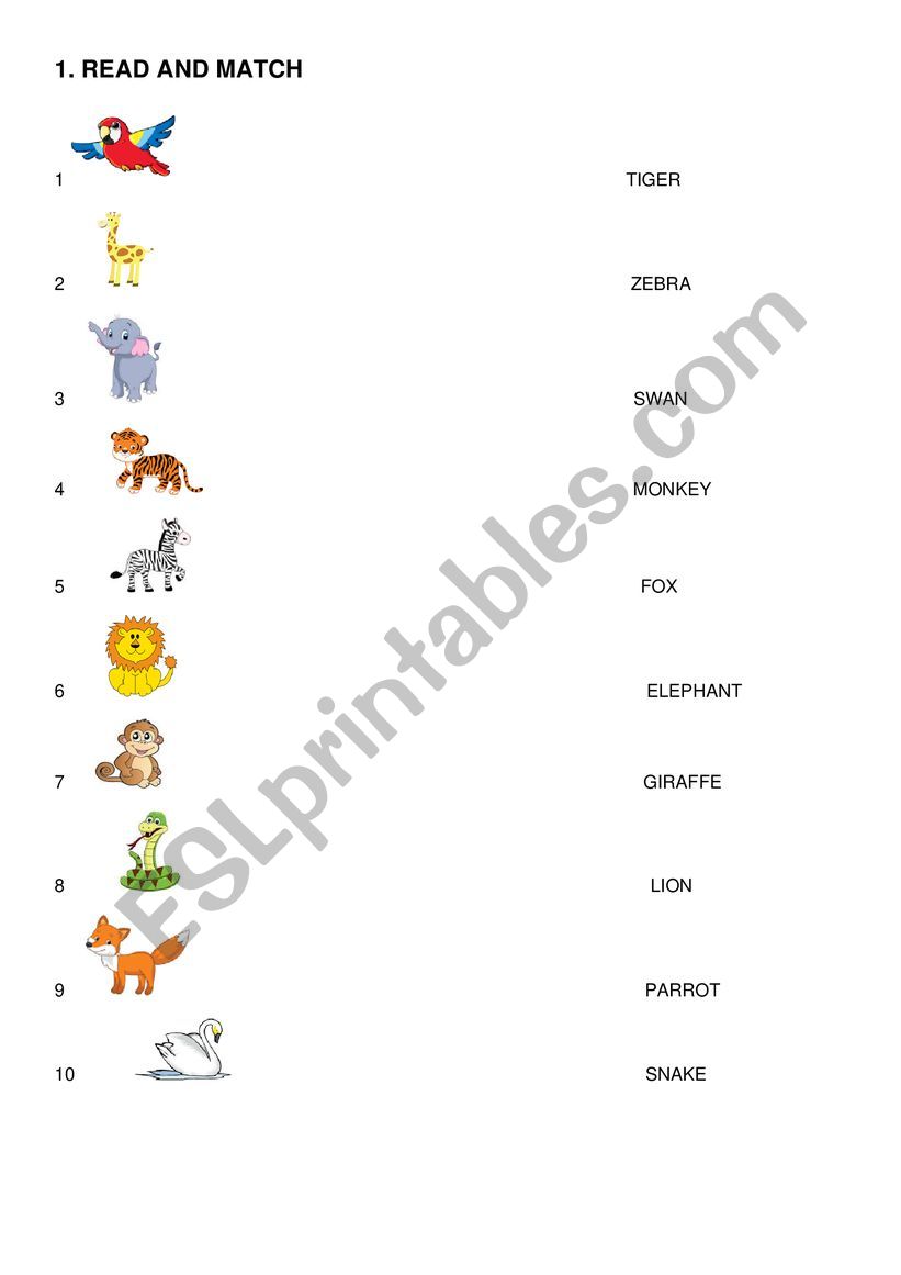 WILD ANIMALS worksheet