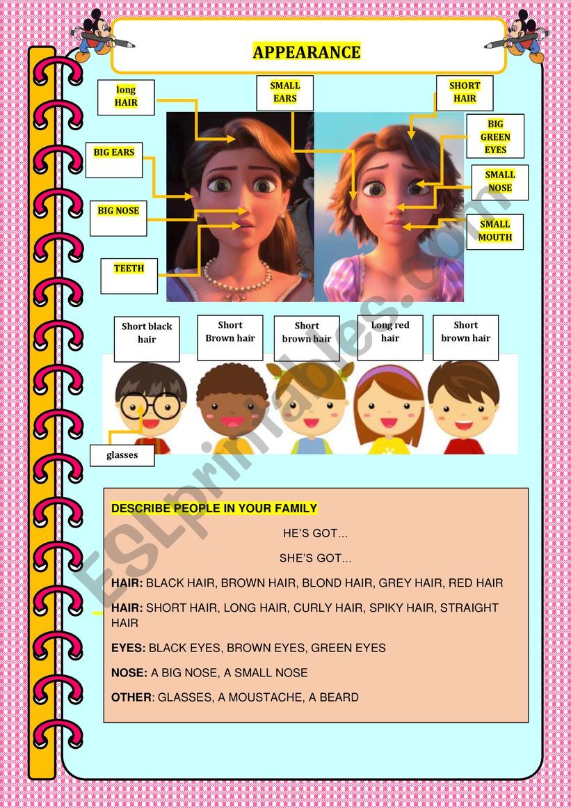 Appearance *The face* worksheet
