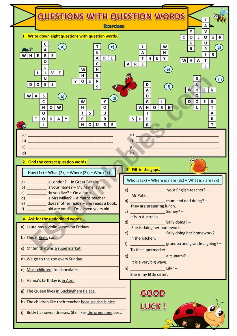 Questions with question words worksheet