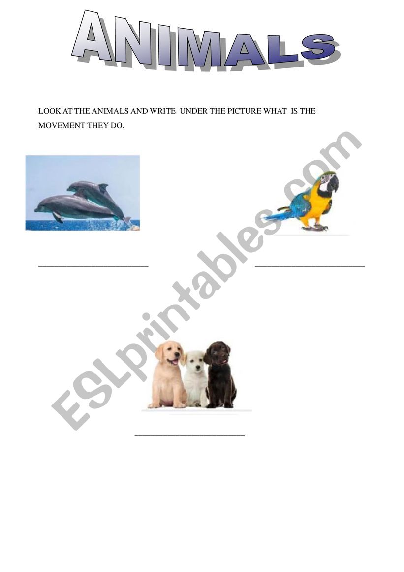 ANIMAL�S MOVEMENT worksheet