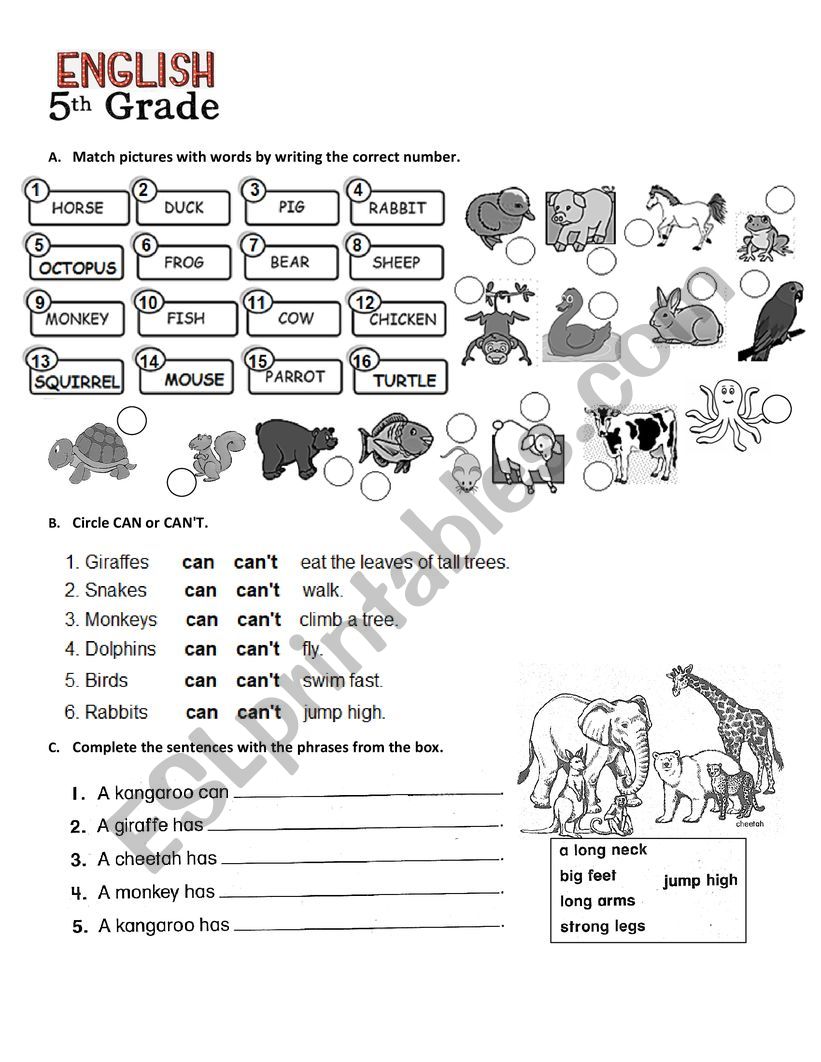 CAN - ANIMALS VOCABULARY worksheet