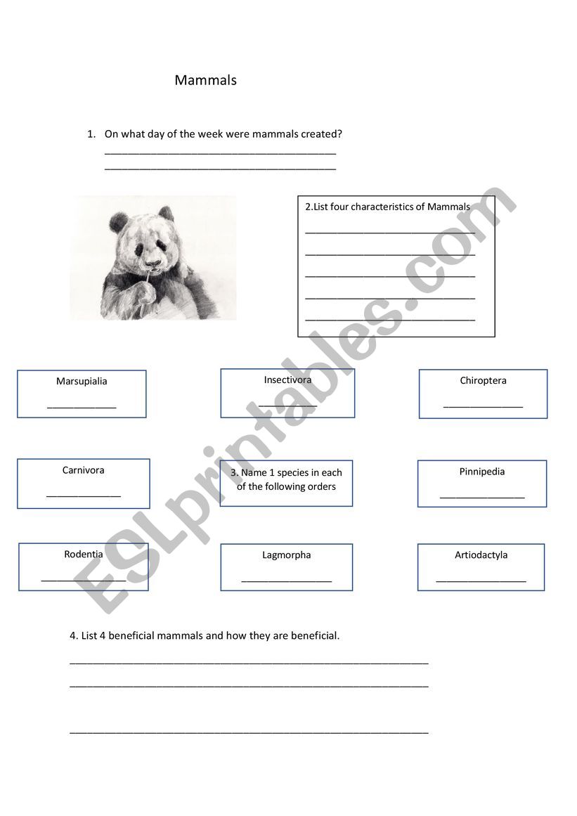 Mammals worksheet