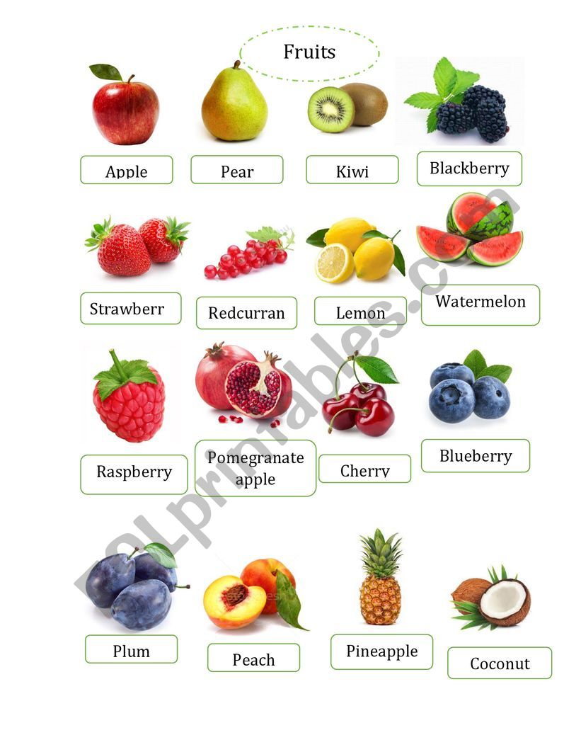fruits and vegies worksheet