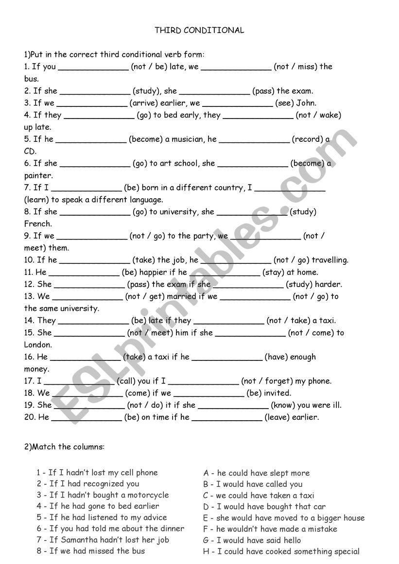 THIRD CONDITIONAL - EXERCISES worksheet