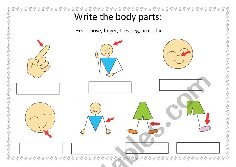 Write the body parts about the song: Head, shoulders, knees and toes