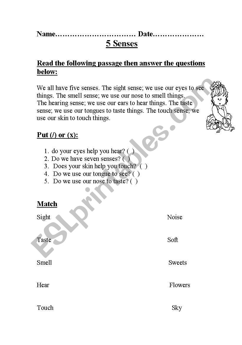 5 senses worksheet