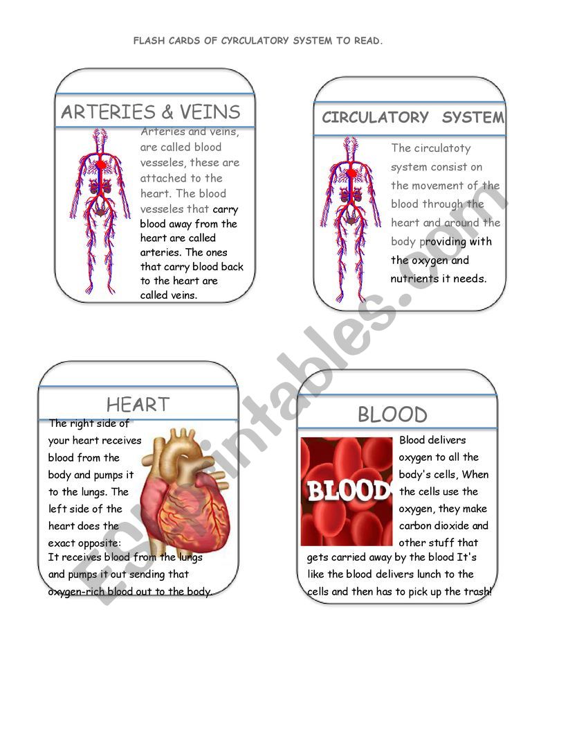 Flash cards 