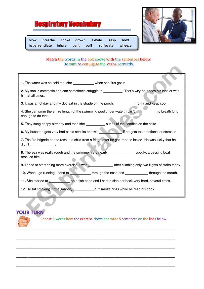 Respiratory Vocabulary worksheet