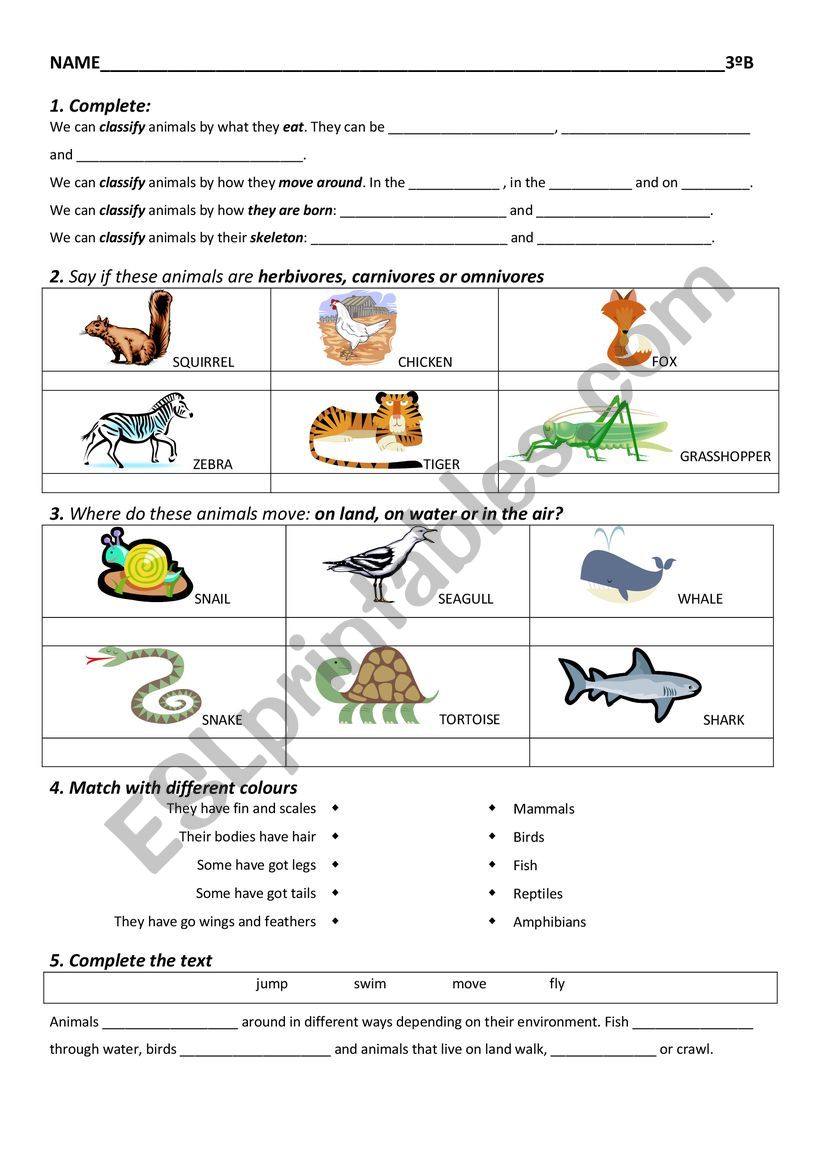 herbivores, carnivores or omnivores