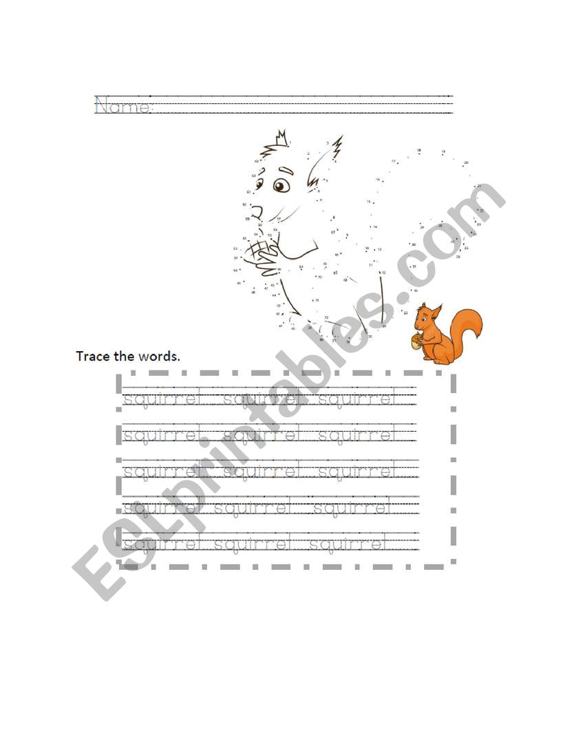 Squirrels worksheet