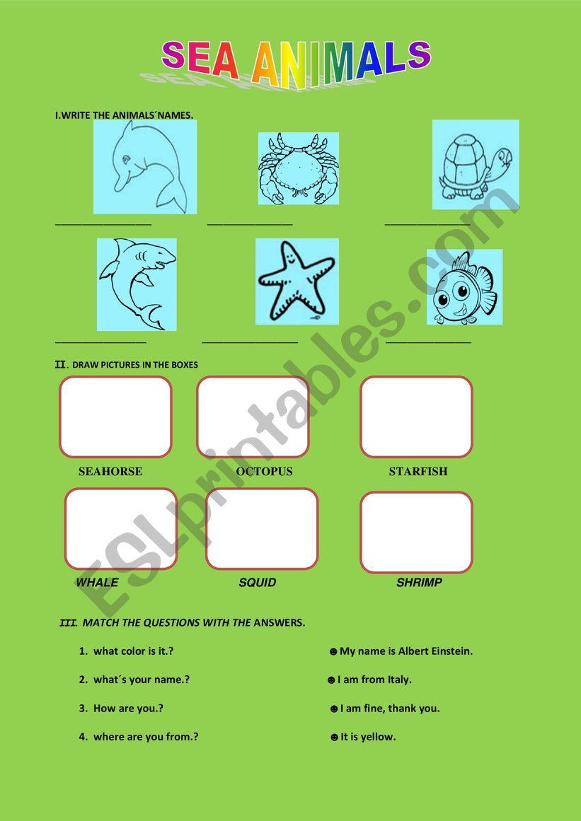 Sea animals for beginners worksheet