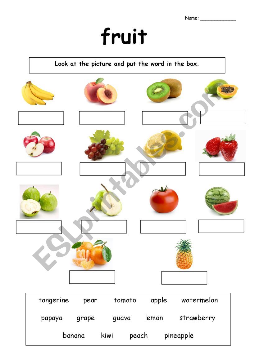 Fruit worksheet