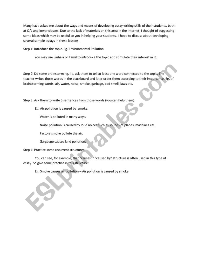 Essay Writing Skills worksheet