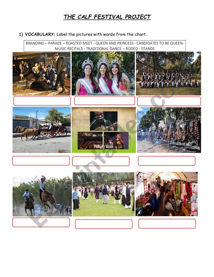 The Calf Festival worksheet