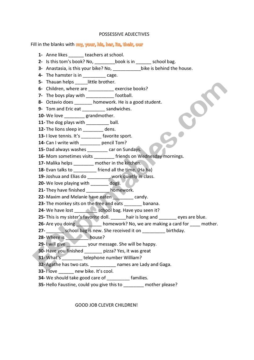 Possessive Adjectives worksheet