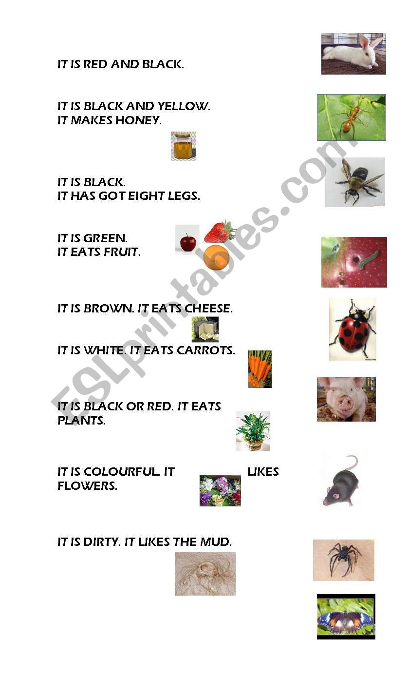 Animals (descriptions) worksheet