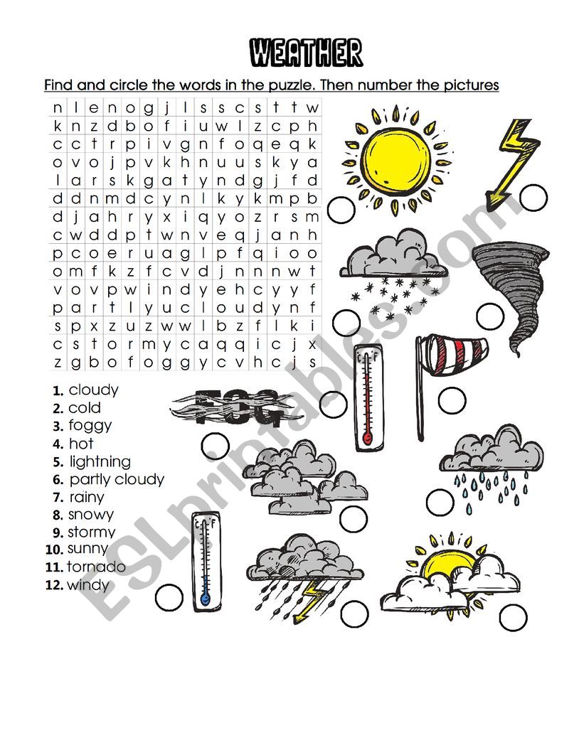 weather -2 worksheet