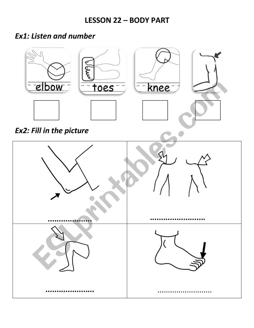 Body part worksheet