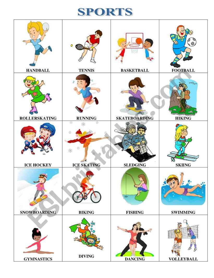 Sports worksheet