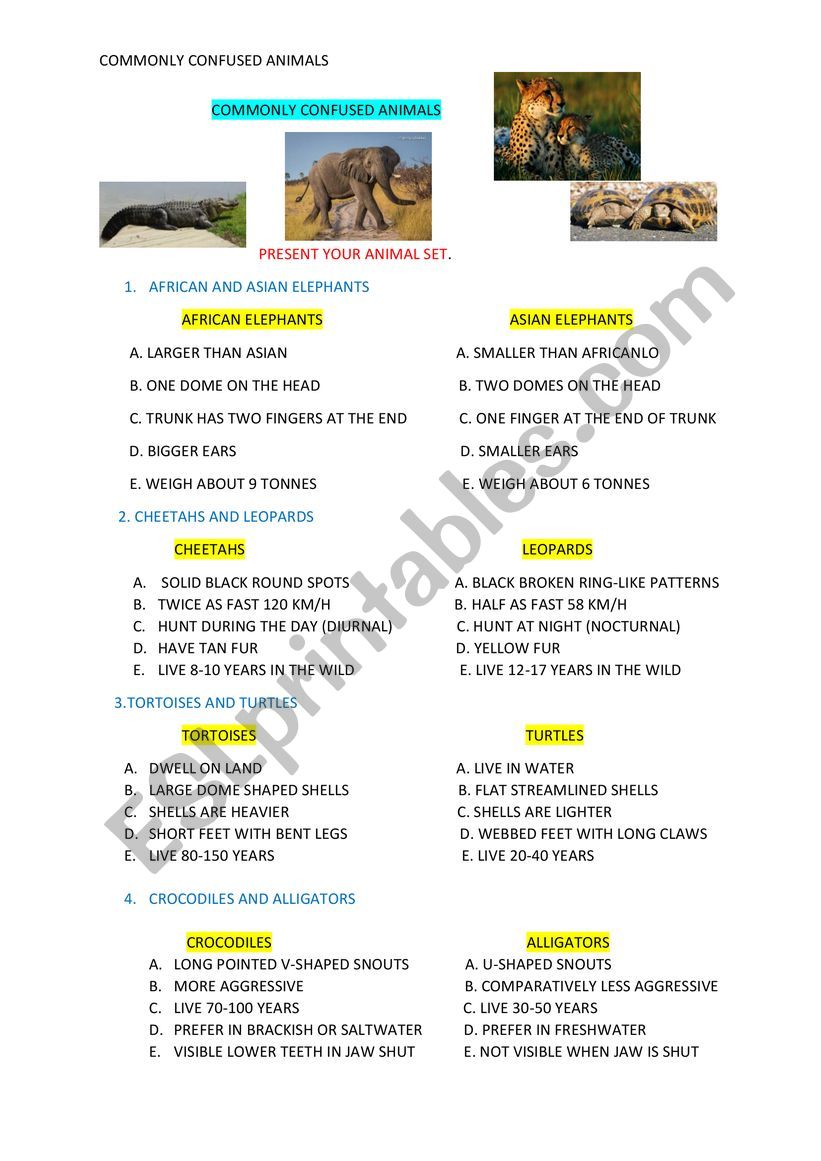 COMMONLY CONFUSED ANIMALS- SPEAKING ACTIVITY