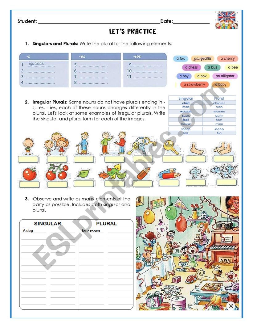 Singular and plural nouns practice