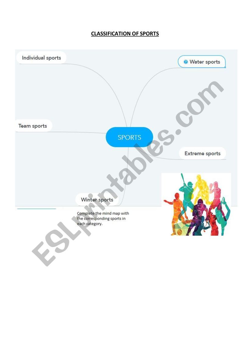 Sports classification  worksheet