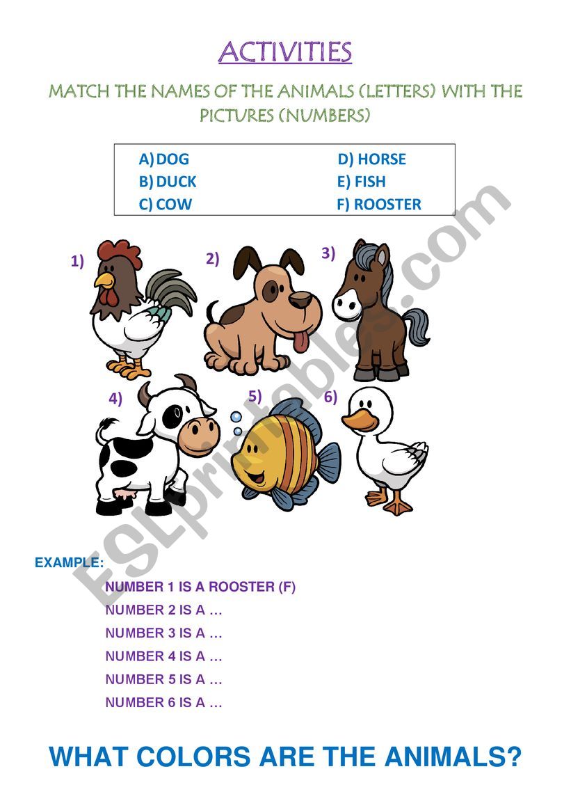 ANIMALS worksheet