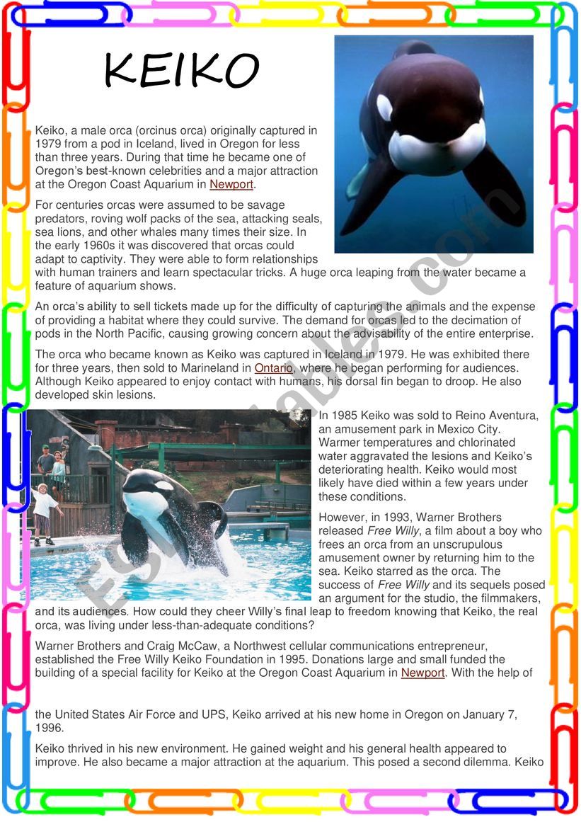 Reading about KEIKO THE WHALE worksheet
