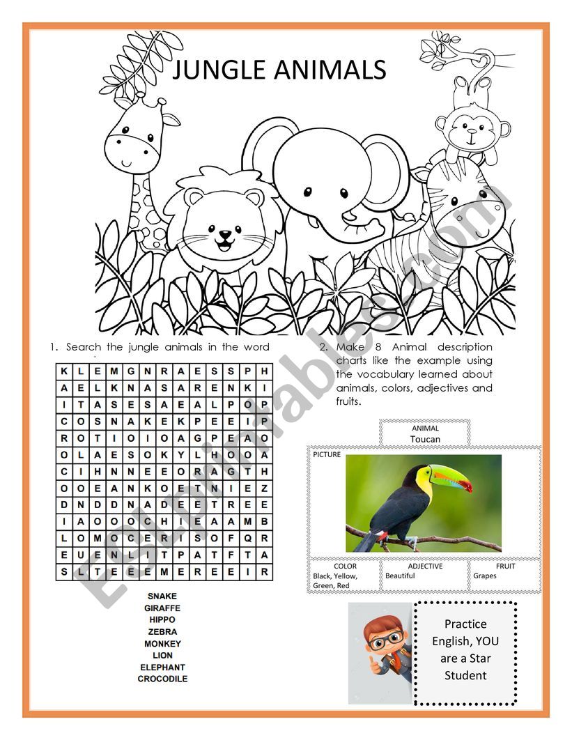 JUNGLE ANIMALS worksheet