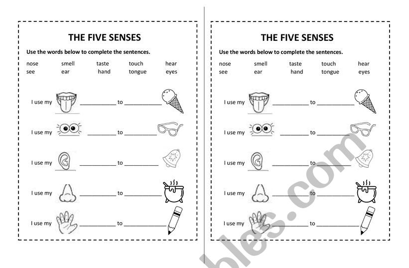 The five senses worksheet