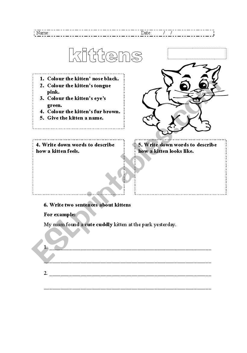 kittens worksheet