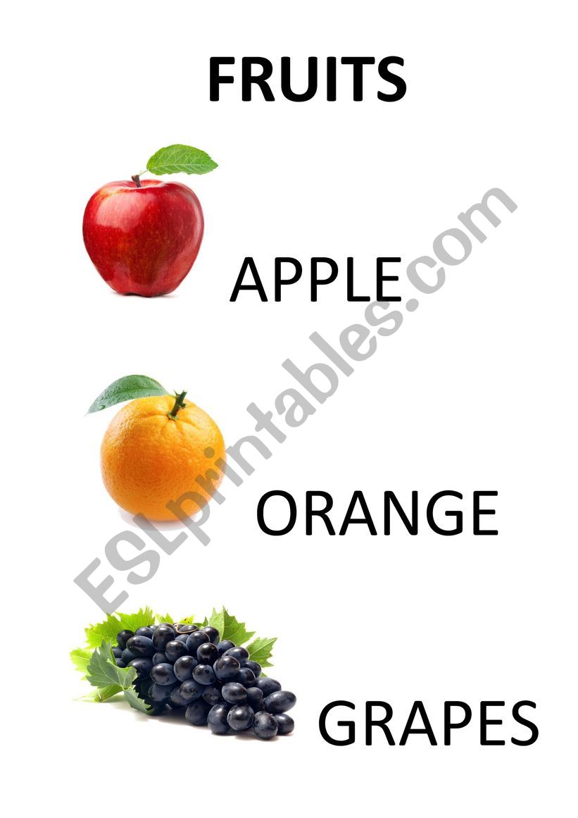 FRUITS worksheet