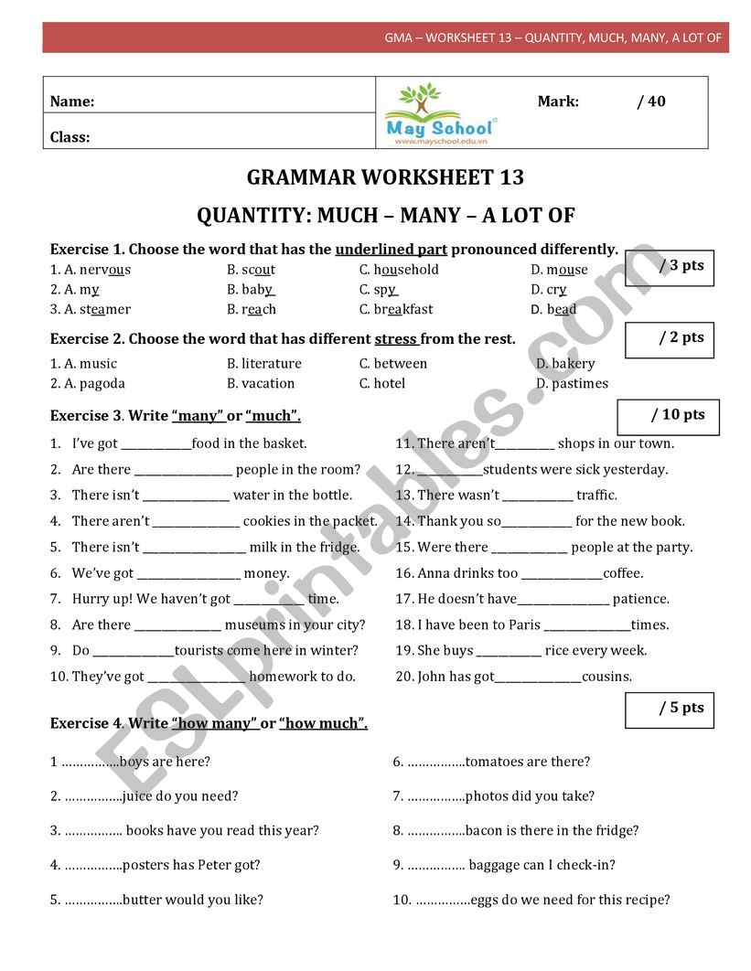MUCH - MA NY - A LOT OF worksheet