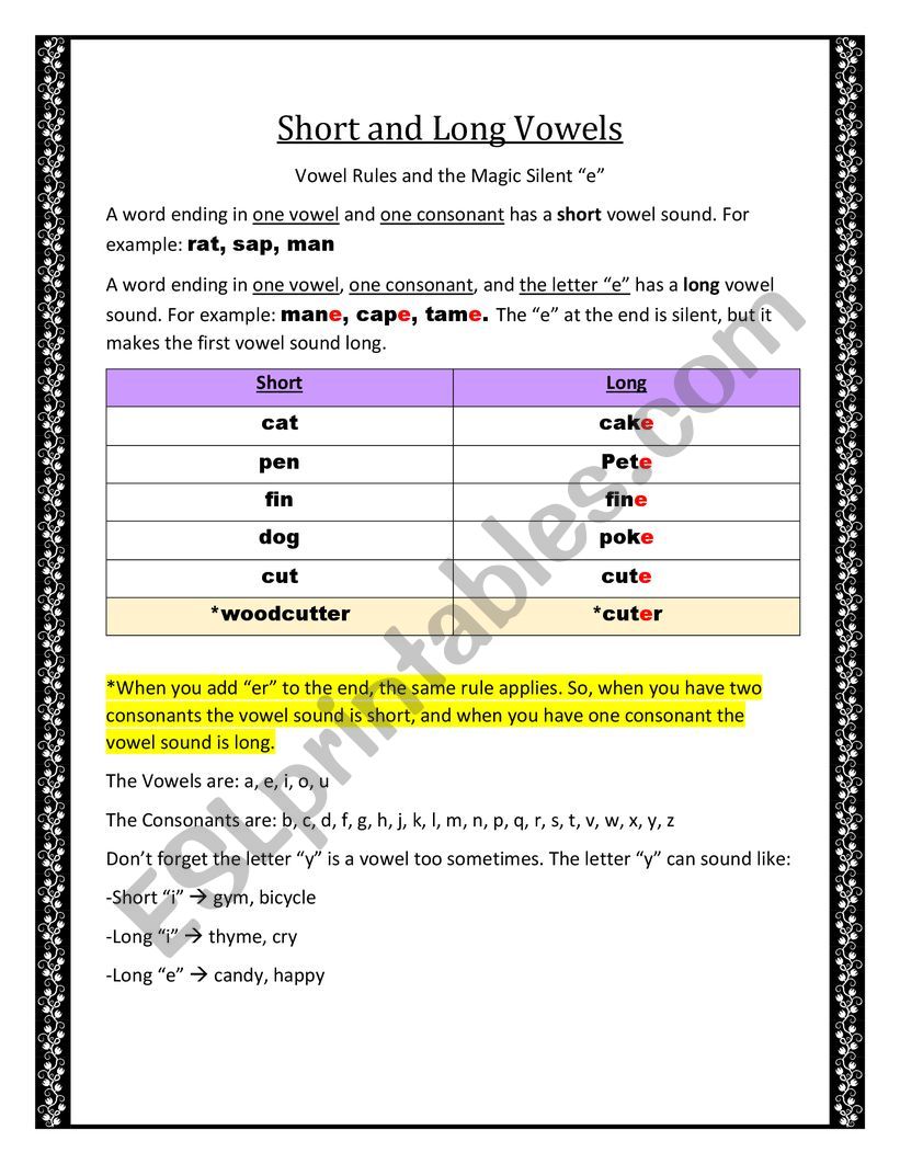Short and Long Vowel Rules worksheet