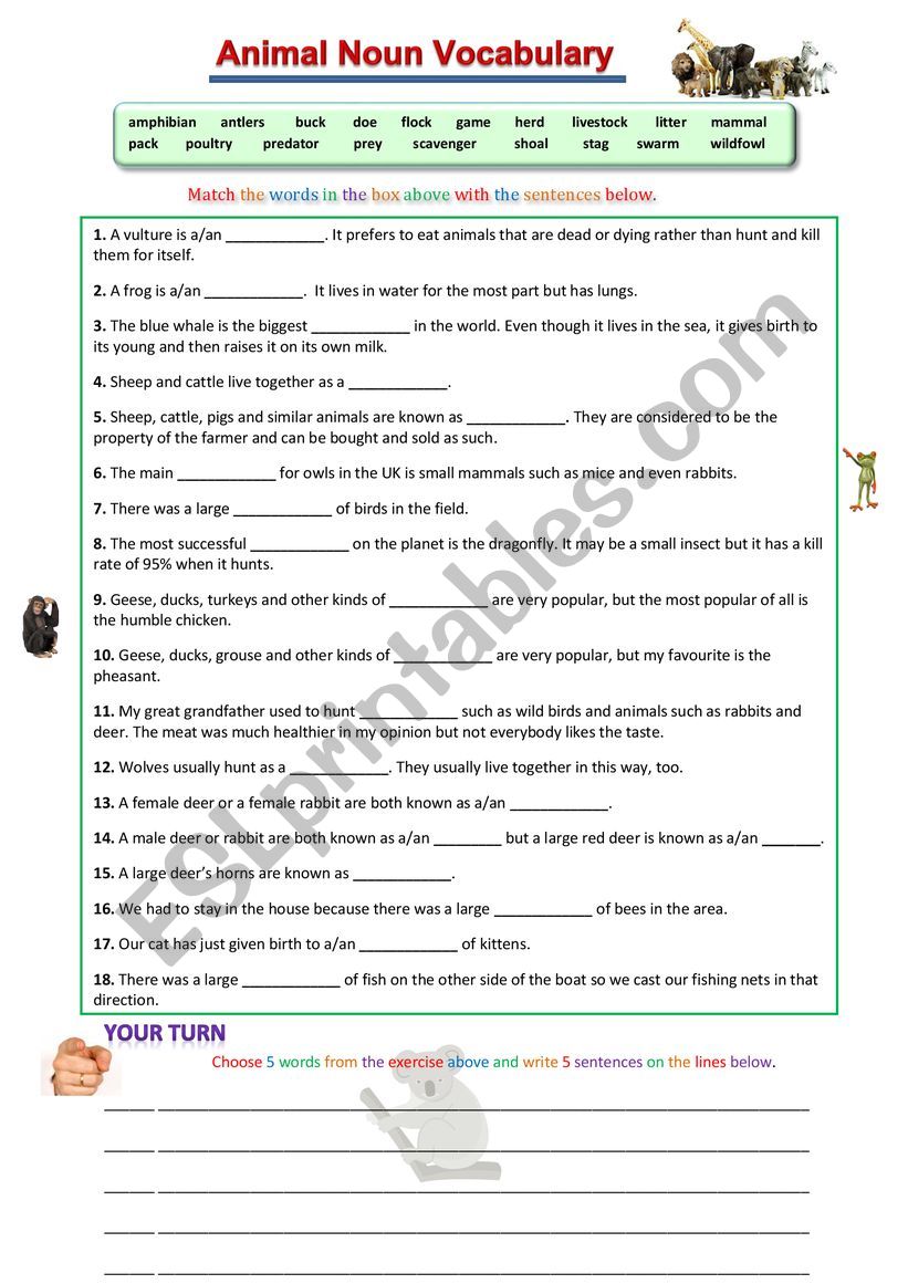 animal-nouns-vocabulary-esl-worksheet-by-spinney