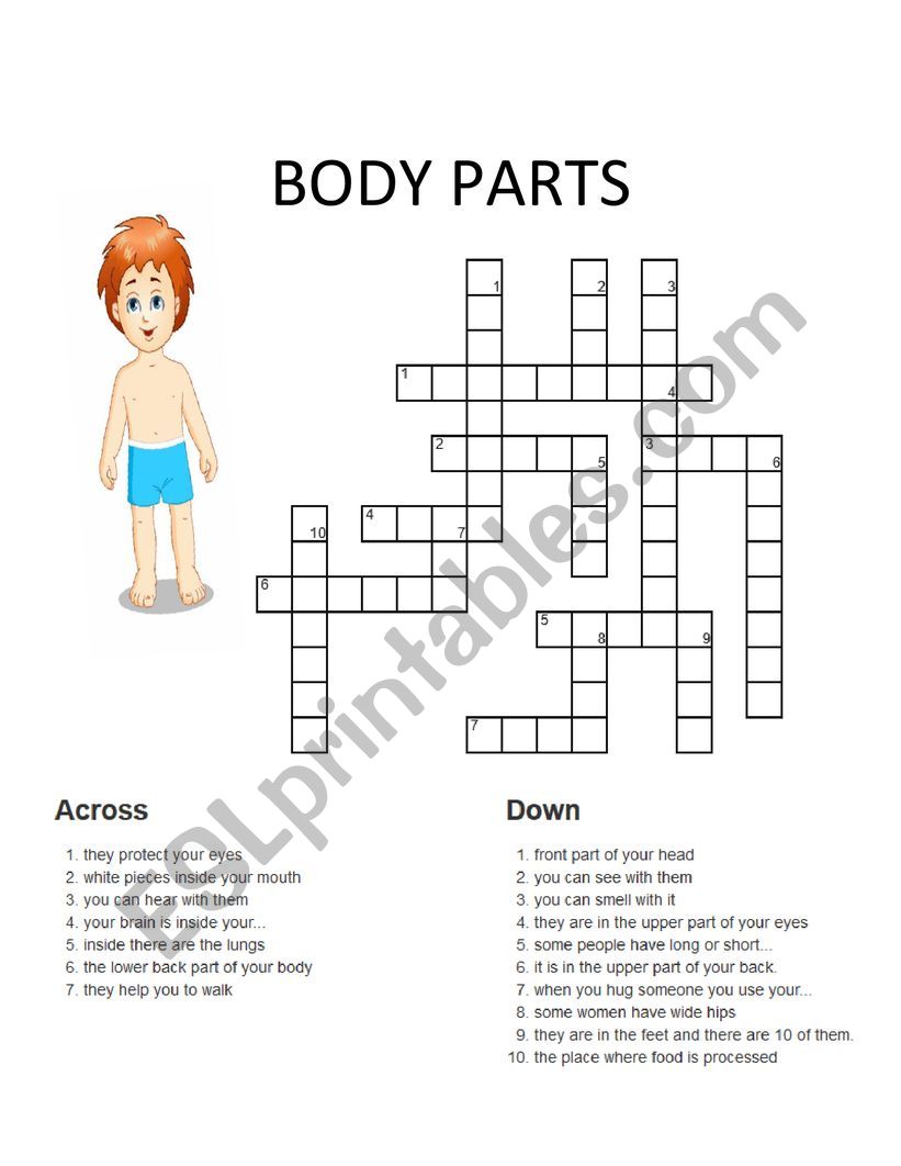 body parts  worksheet