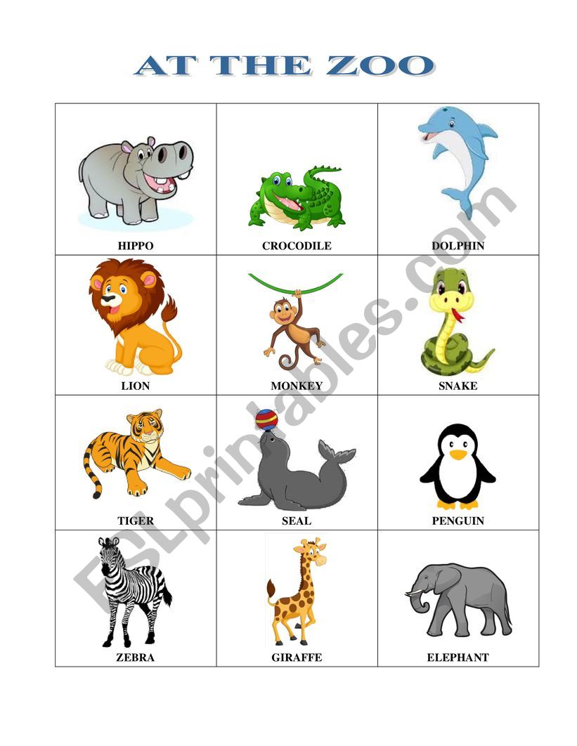 AT THE ZOO worksheet