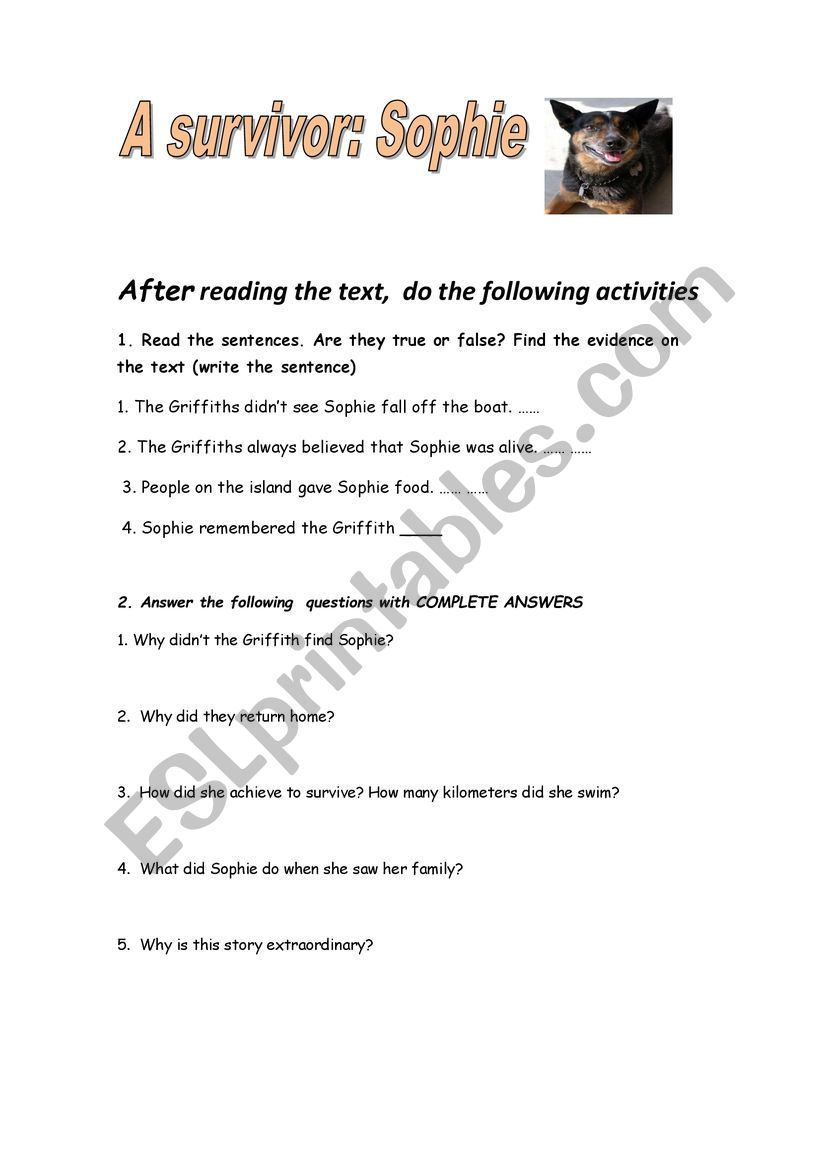 reading activities - ESL worksheet by Lovingpets